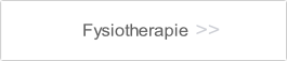 Fysiotherapie.